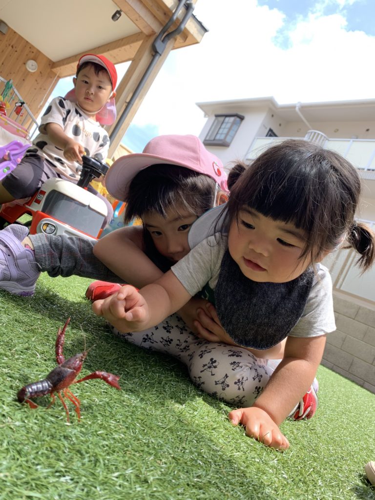 社会福祉法人　京都明星福祉会